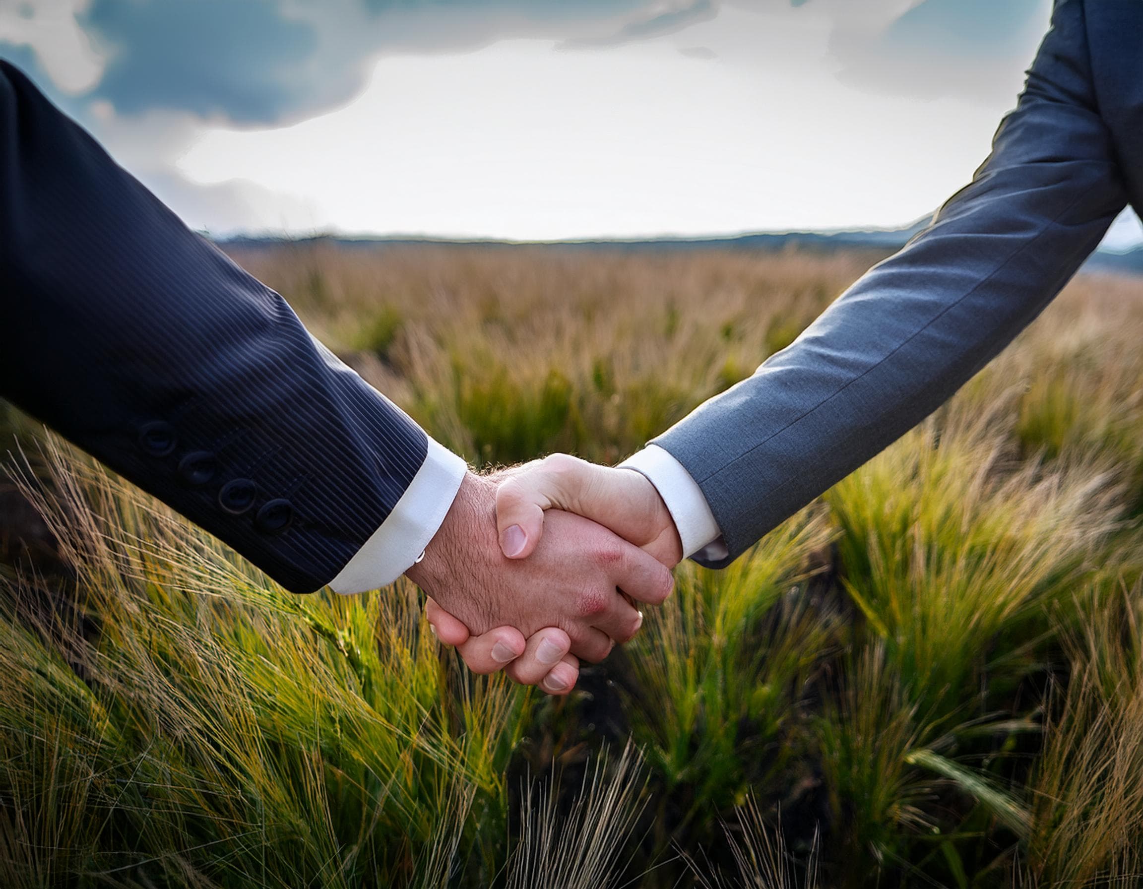 Business Handshake in Field